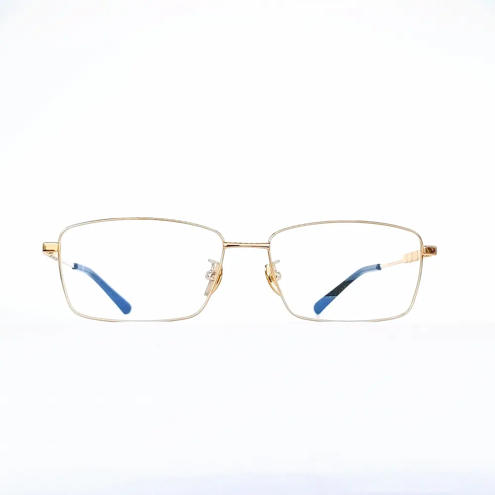 gafas elegantes portofino